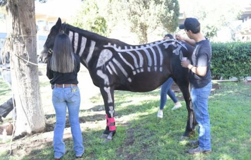 FACIATEC celebra su tradicional Mercadito Agroecológico