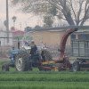 Invita UACH al XXXVII Congreso Internacional en Administración de Empresas Agropecuarias