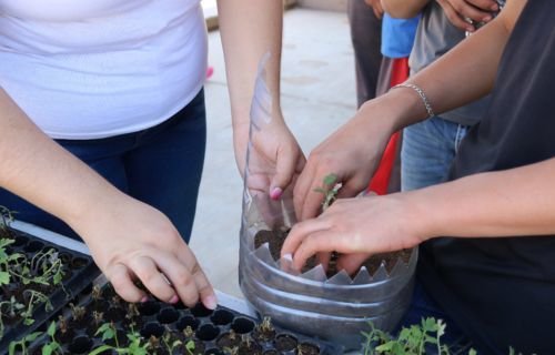 Lleva la UACH el cuidado ambiental a escuelas en comunidad de Satevó 