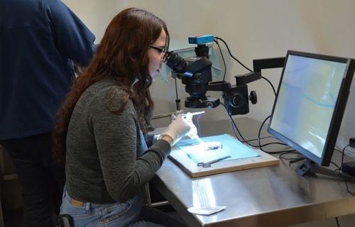 Inteligencia artificial en la medicina: herramienta de apoyo, no sustituto del médico