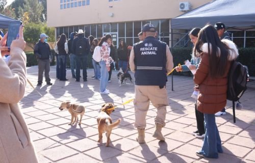 Conmemora la FZyE-UACH el Día Mundial de la Educación Ambiental