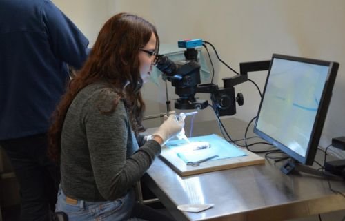 Reconoce la UACH a las mujeres en la ciencia