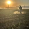 Investigadores UACH presentaron resultados de proyecto sobre restauración de suelos con microalgas en Chihuahua