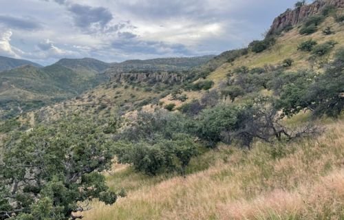 Estudio doctoral de la FZyE-UACH analiza los efectos del cambio climático en la vegetación de Chihuahua